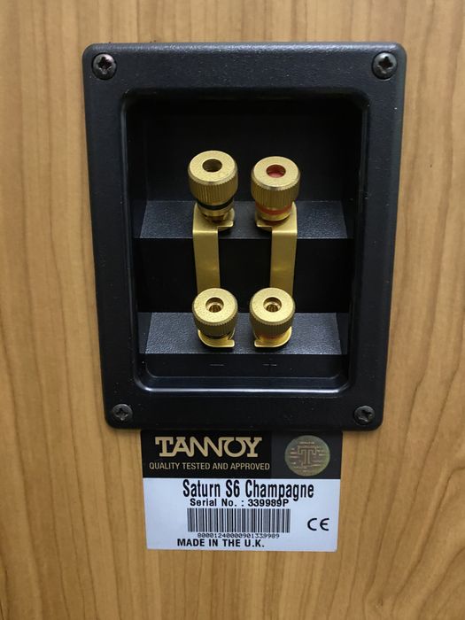 Акустика колонки Tannoy Saturn S6
