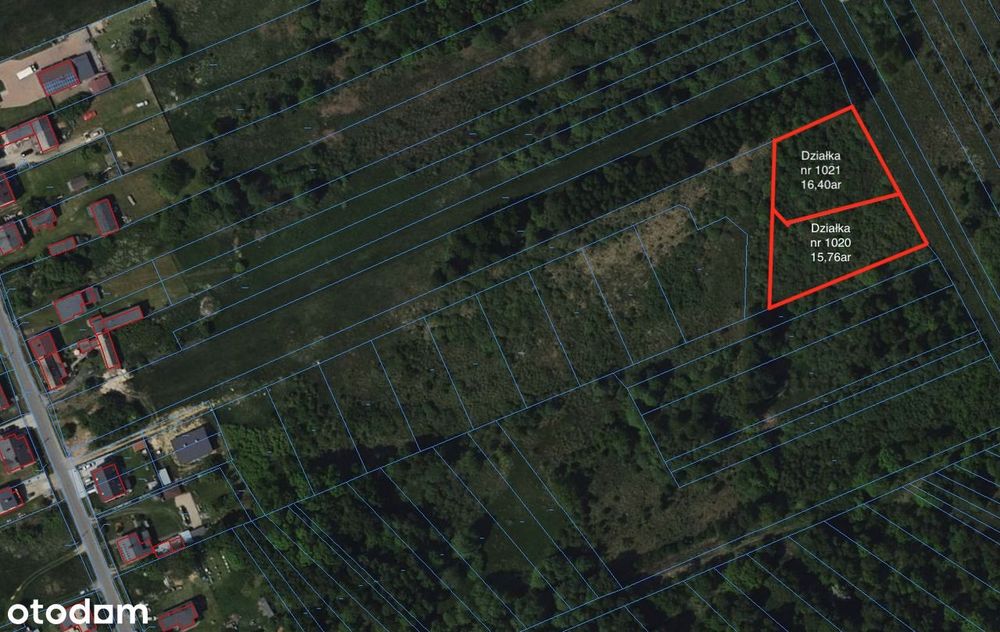Działki budowlane w lesie - Widok 2
