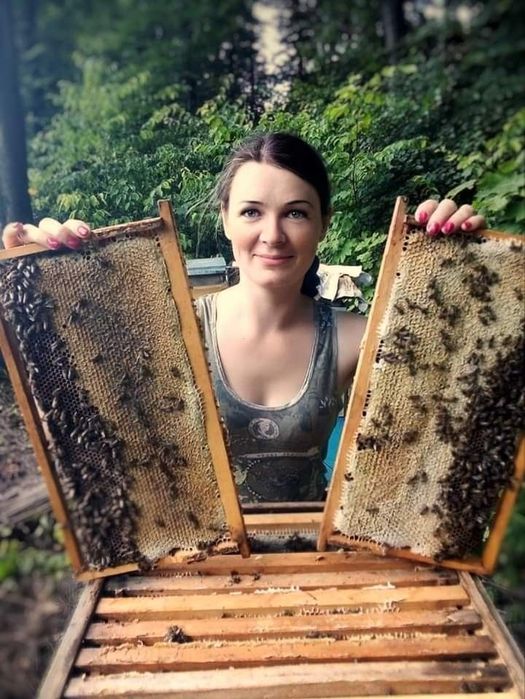 Плідна карніка Пешец, бджоломатки, пчеломатки.бджоли.матка