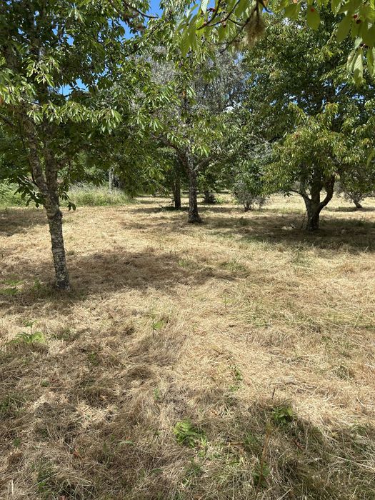 Quinta ecologica Ecofarm  oleiros