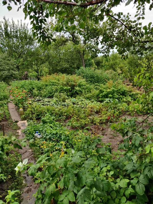 Gk Продам участок на Новых домах