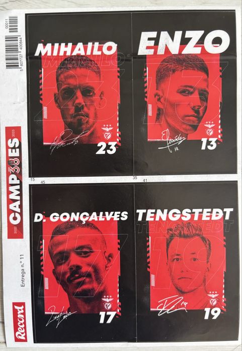 Coleção Record - Campeões 38