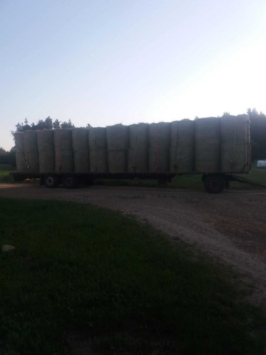 Sprzedam trawę gorzowską , lucernę , siano,słomę oraz zboże.