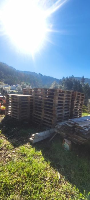 Pallets de Madeira