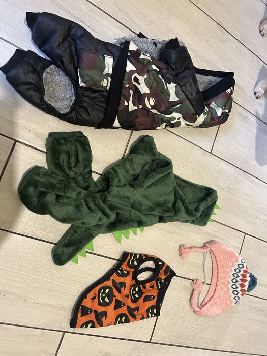 Вещи для вашего питомца