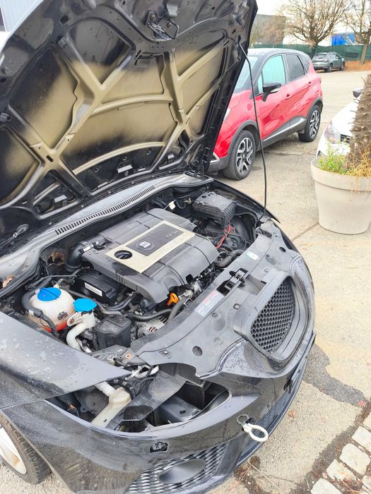 Seat Leon FR 2.0 TFSI