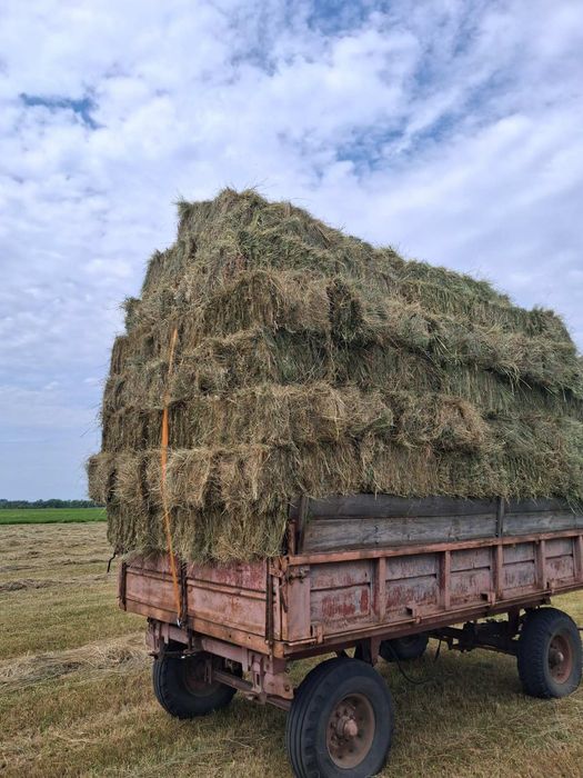 Продам сіно в тюках лугове