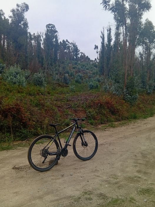 Bike Eleven Vortex series