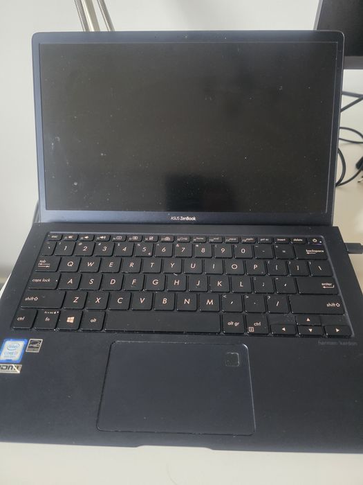 Asus Zenfbook UX391U