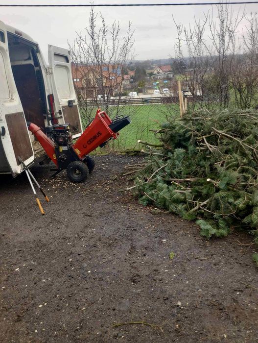 Profesjonalne usługi ogrodnicze
