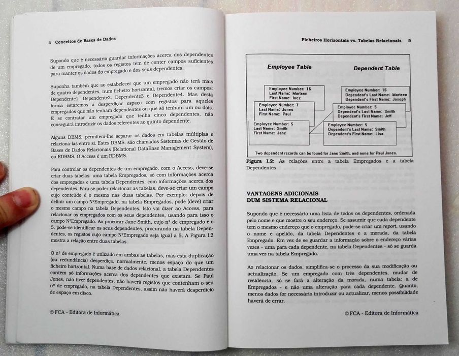 Livro Guia Práctico - Microsoft Access 2