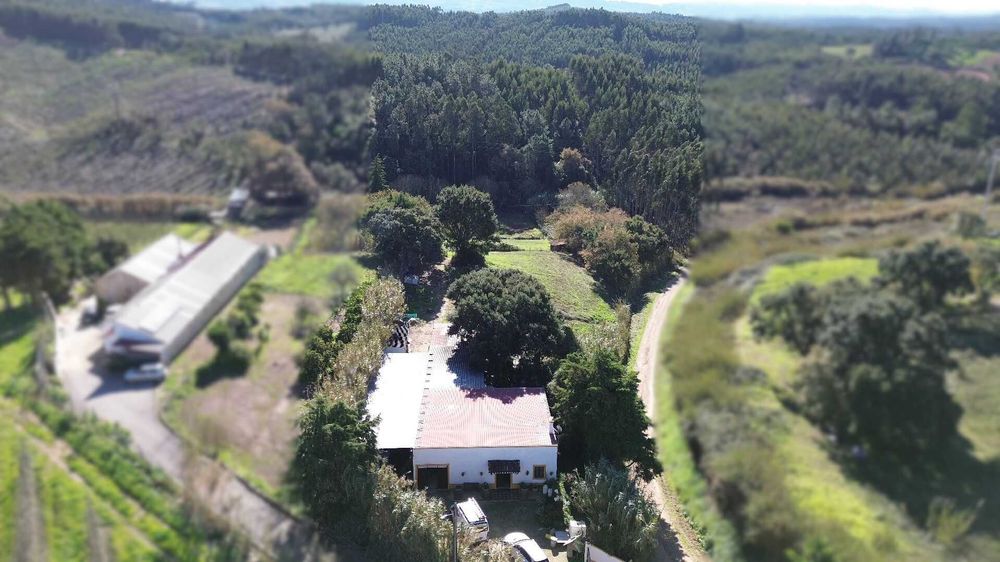 Aluguer Boxes para Cavalos