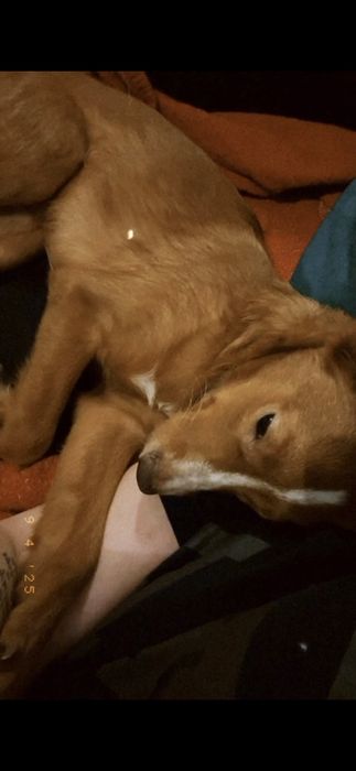 Macho bebe de 6 mesinhos