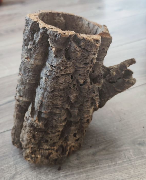 Tuba korkowa duża 2