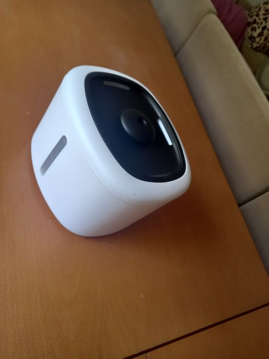 Fonte de água para gato