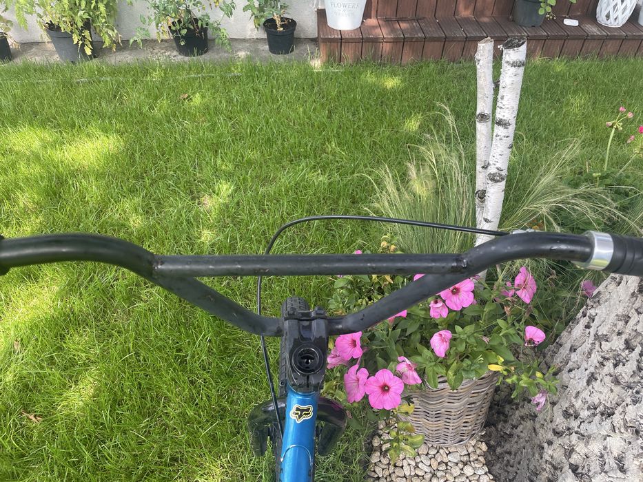 Bmx galaxy  earlybird