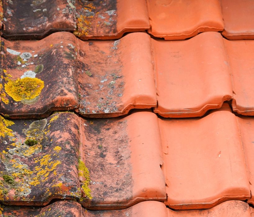 Lavagem / impermeabilização de telhados.