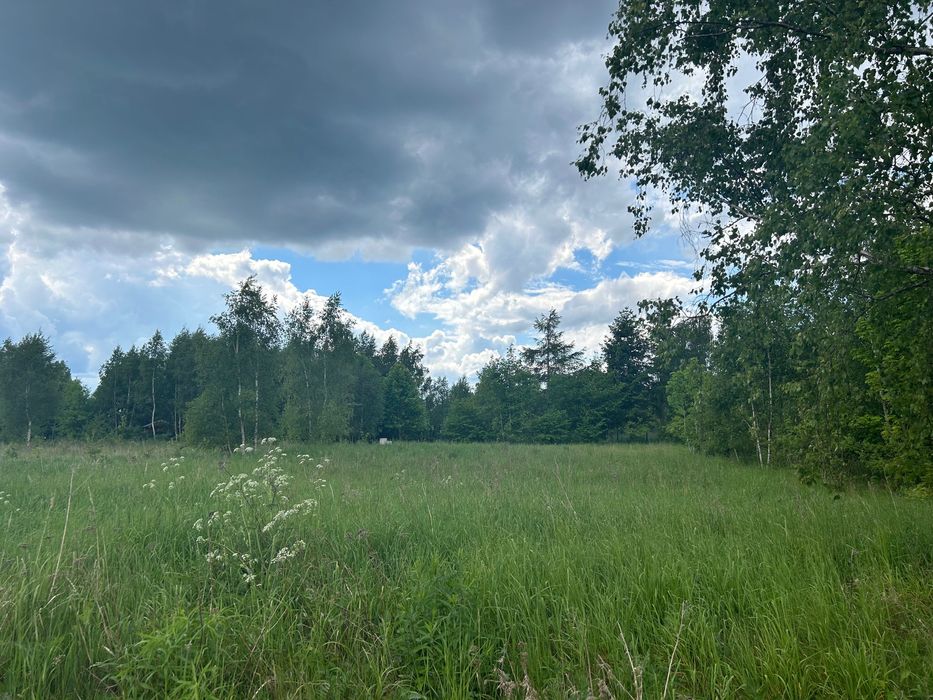 Sprzedam atrakcyjną działkę obok lasu w Dziwnówku
