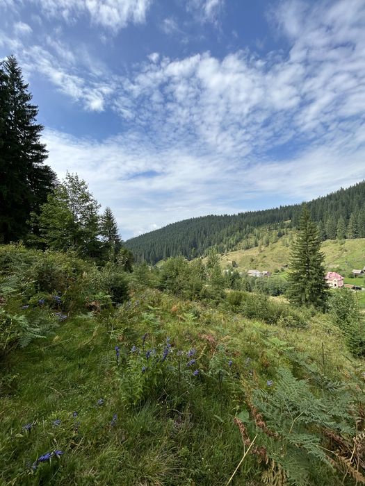 Продається 1.2 гектара з можливістю зміни цільового призначення