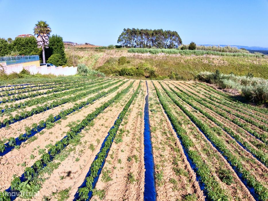 Terreno com Viabilidade de Construção