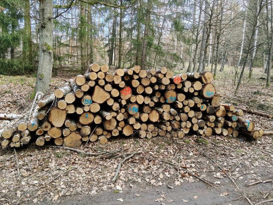 Drewno opałowe .kominkowe