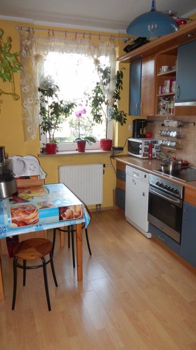 Do wynajęcia 2-pokojowe mieszkanie z własnym ogródkiem