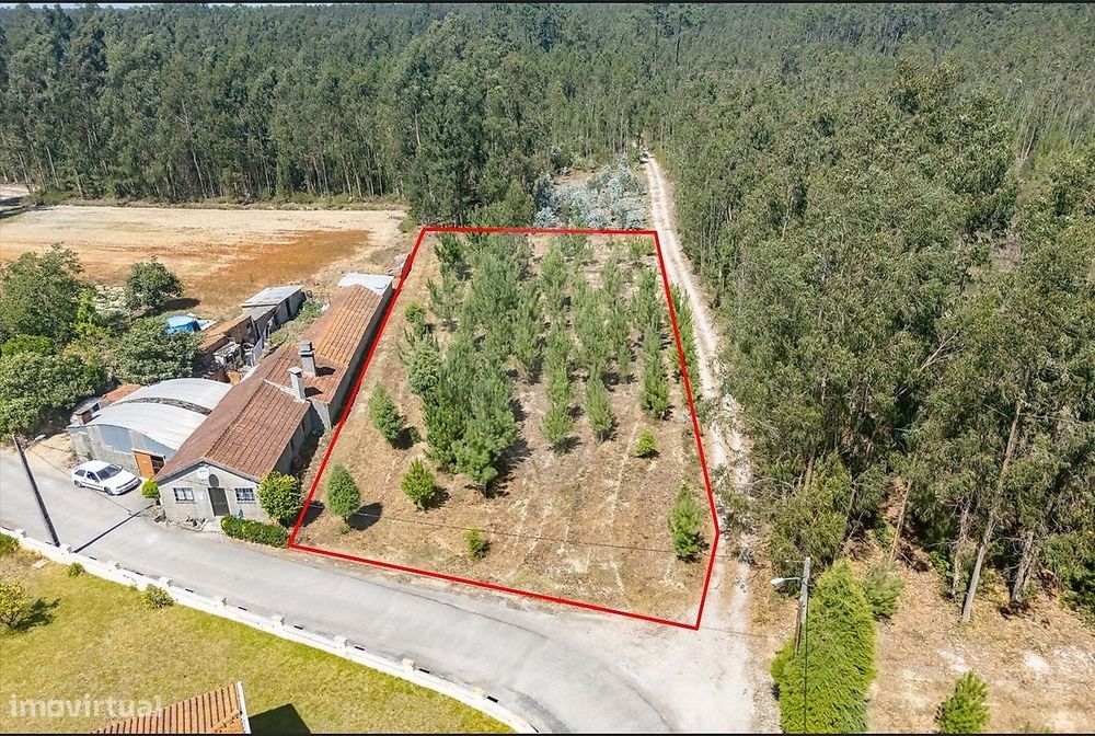 Terreno  para venda