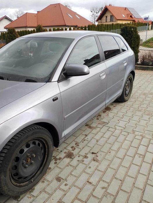 Audi A3 8P 1,9tdi