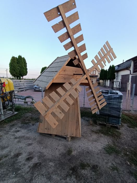 Wiartak ozdobny, ogród