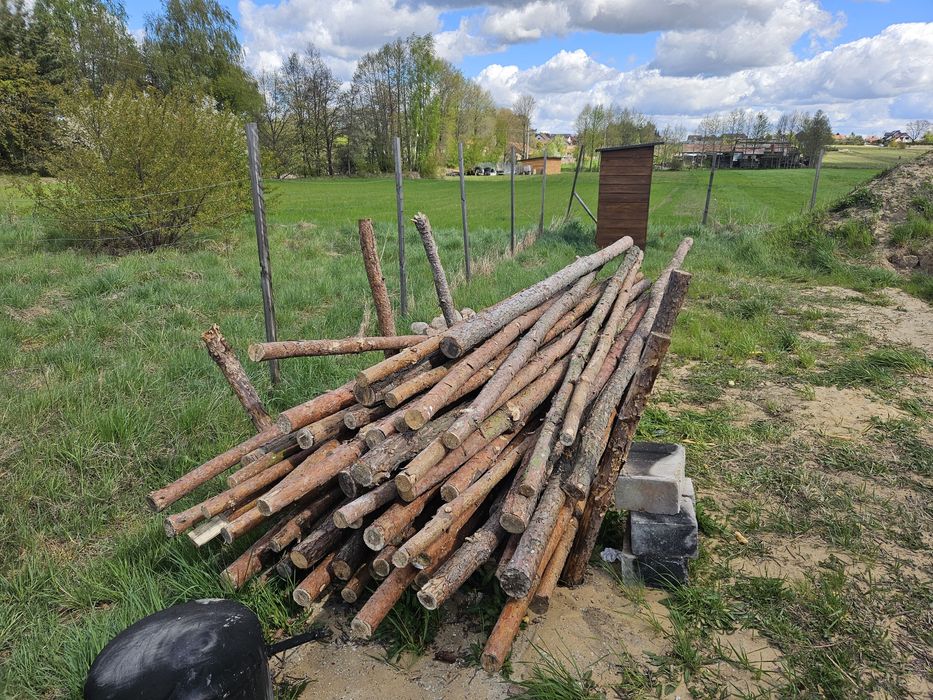 Stęple budowlane