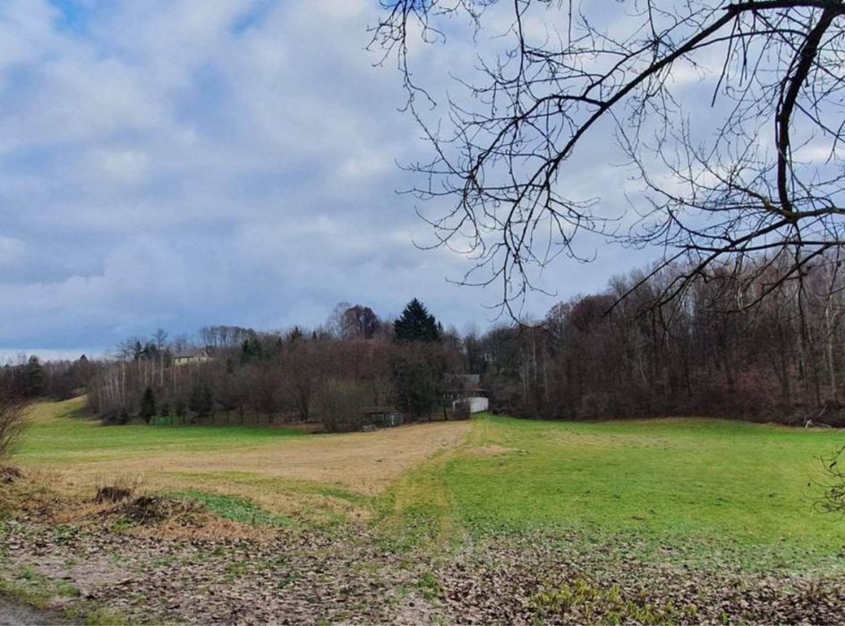 Działka 1677m z domkiem przy wąwozie Rzeczyca Kolonia Kazimierz Dolny