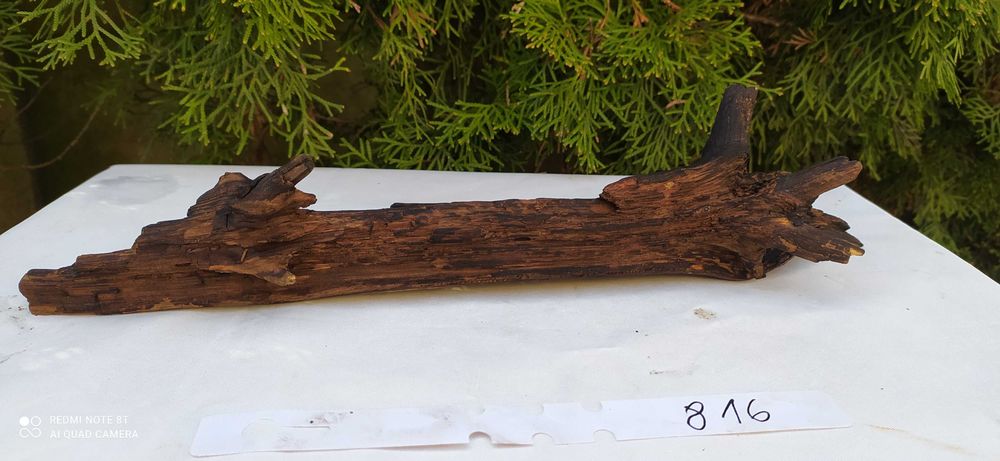 Korzeń do akwarium 38cm   816