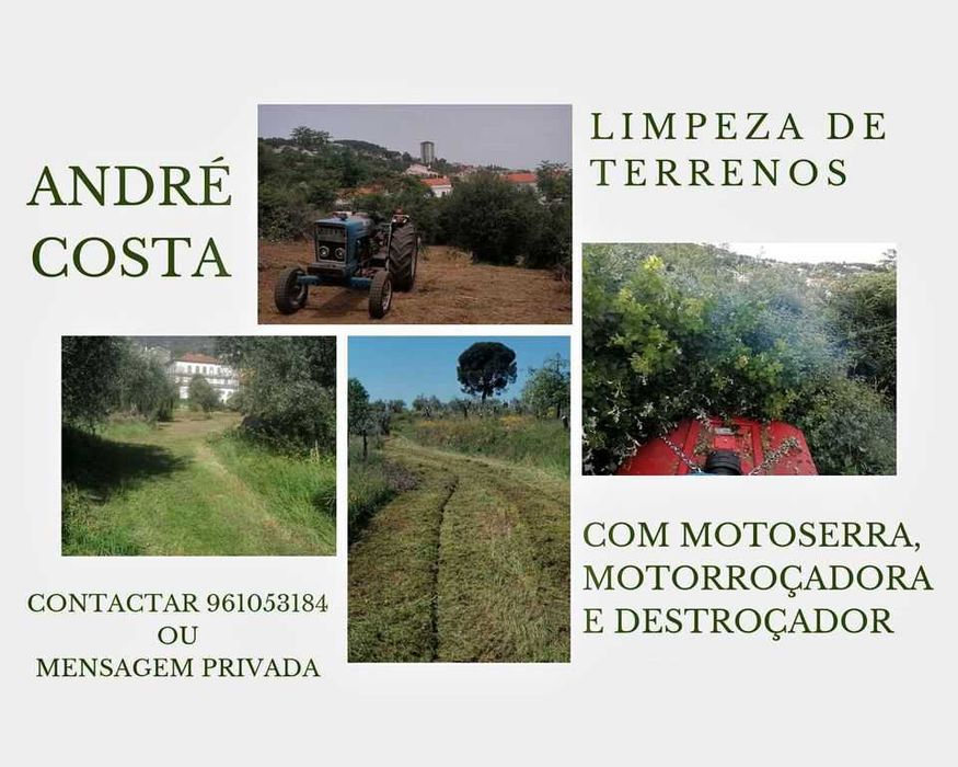 limpeza de terrenos