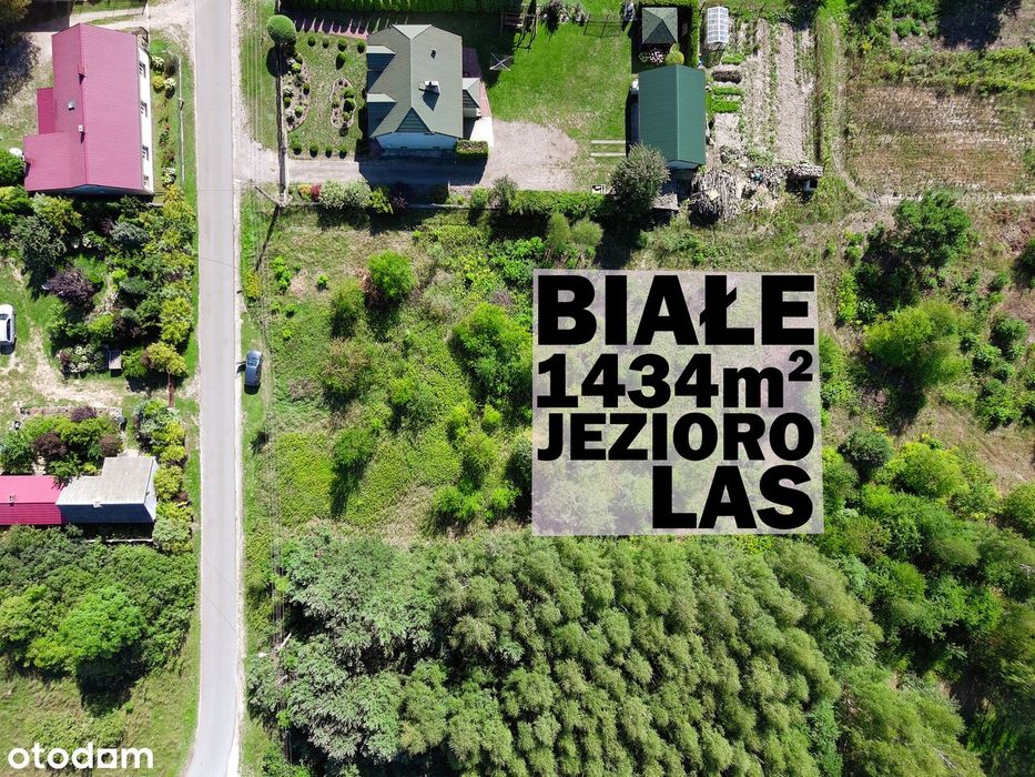 Działka – Białe - Widok 2