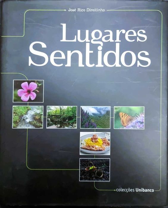 Lugares Sentidos de  José Riço Direitinho