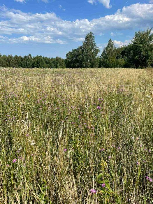 Продам земельну ділянку 25 сотих у с. Вербовець, Косівський р-н