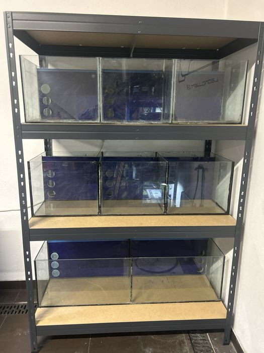 Aquarium Rack