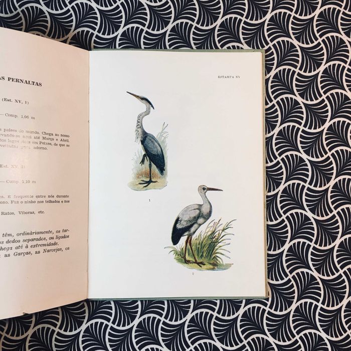 Compêndio de Zoologia para o 2º ciclo Liceal (3º ano)
