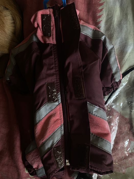 Костюм для собак