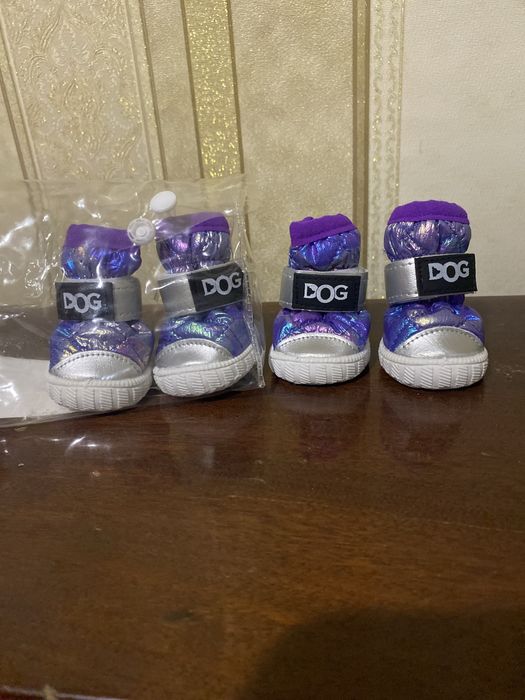 Модне взуття для маленькоі собачки