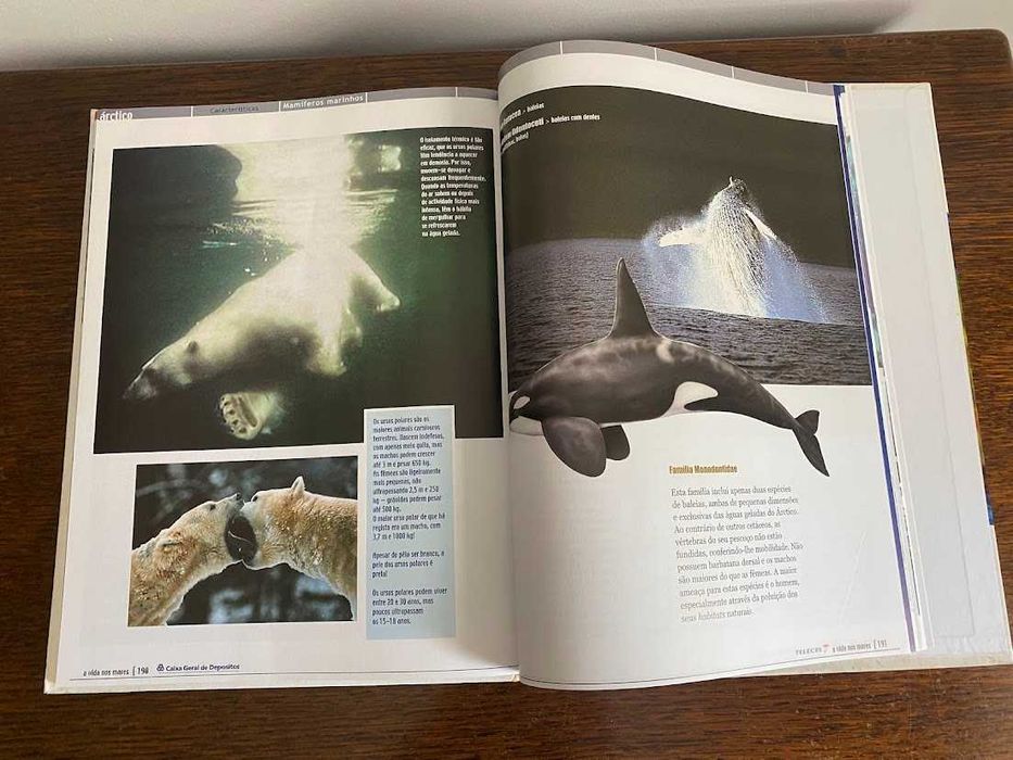 A Vida nos Mares – Uma visita guiada ao mundo submarino