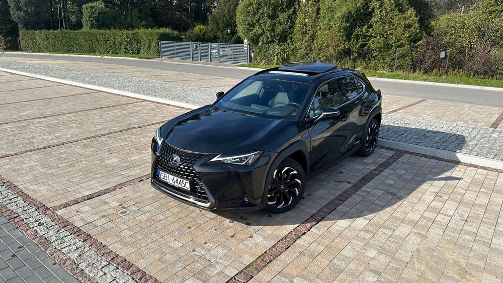 Lexus UX UX250H 4x4 AWD Skóra Kamera Head Up Bardzo Mały Przebieg