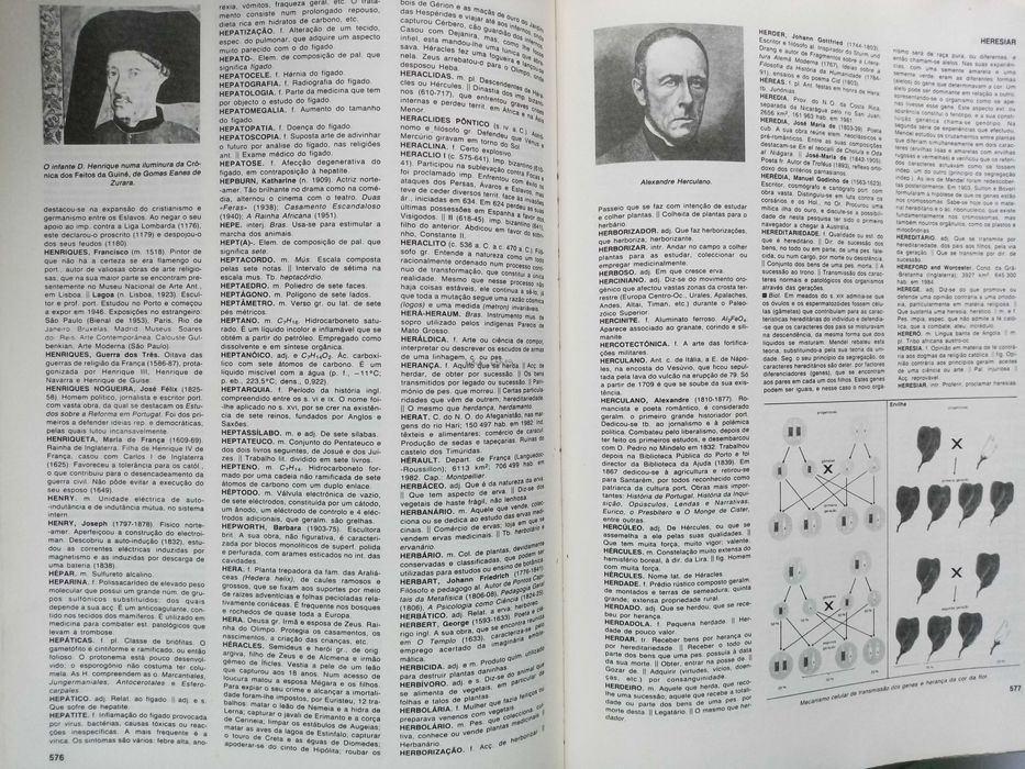 Dicionário Enciclopédico da Língua Portuguesa