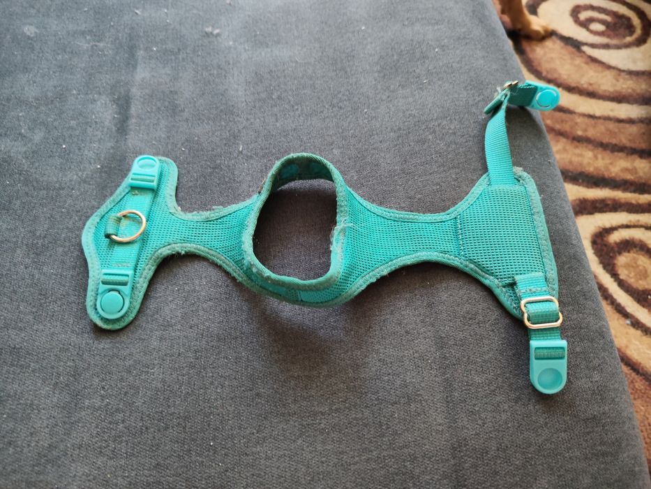 Oddam szelki dla pieska