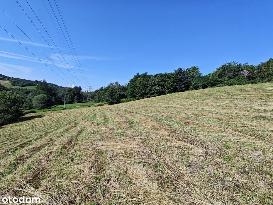 Działka rolno-zagrodowa Janowice Gmina Pleśna