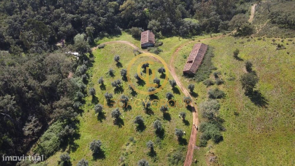 60-Hectare Estate in Odemira
