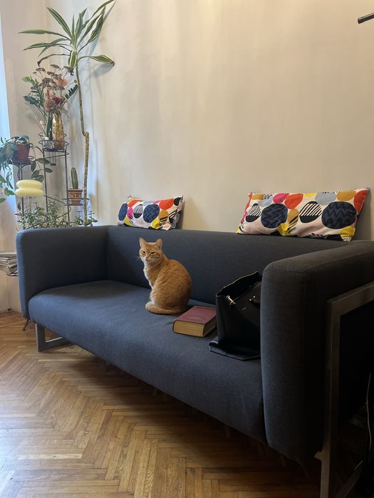 Аренда места бровист /визажист