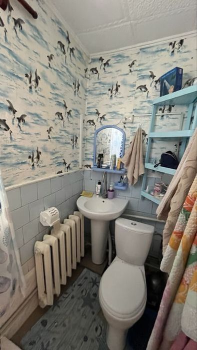 Продам комфортний будинок на Новій Балашівці.