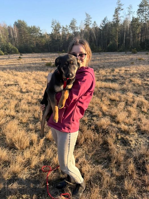 Biedna młodziutka Figa błaga o dom zza krat