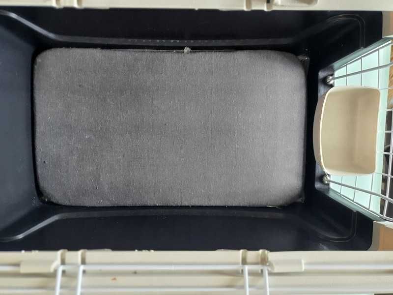 Caixa transportadora animais